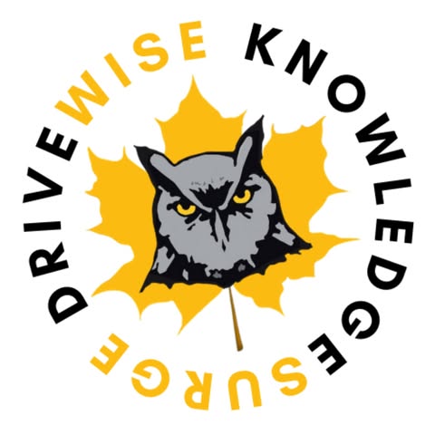 KNOWLEDGESURGE INSTITUTE INC. logo