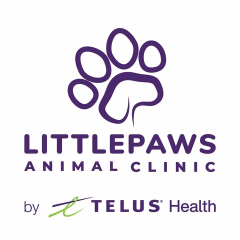 LITTLE PAWS ANIMAL CLINIC INC. logo