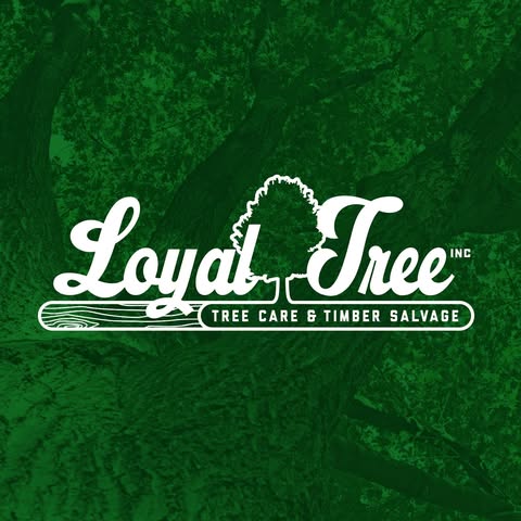 LOYAL TREE INC. Logo