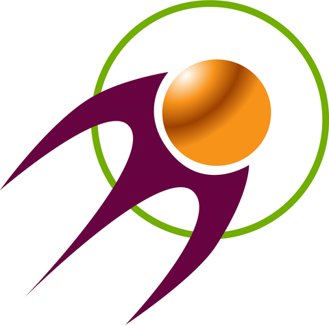 MERIT INTERNATIONAL LTD. logo