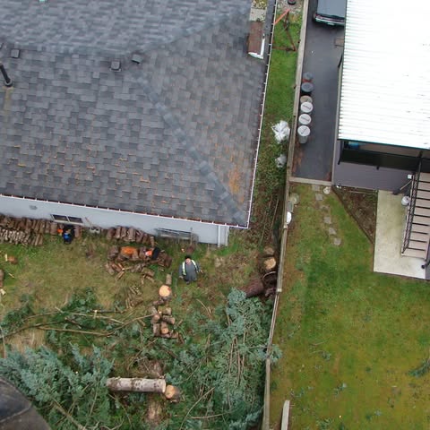 MGS TREE SERVICE INC. logo